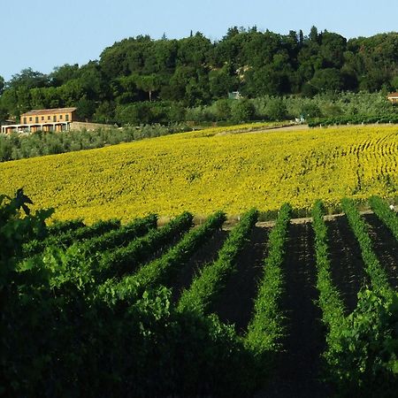 Bio Agriturismo Il Torrione 사투르니아 외부 사진