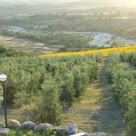 Bio Agriturismo Il Torrione 사투르니아 외부 사진