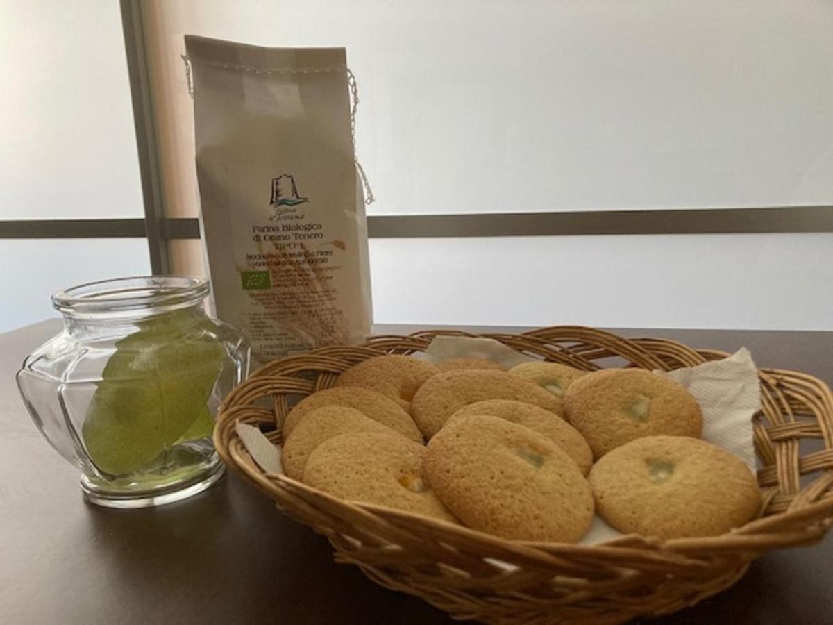 Bio Agriturismo Il Torrione 사투르니아 외부 사진