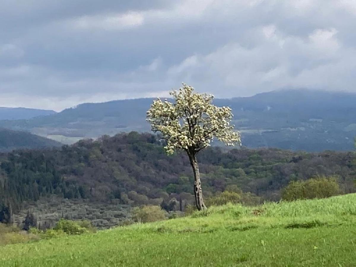 Bio Agriturismo Il Torrione 사투르니아 외부 사진