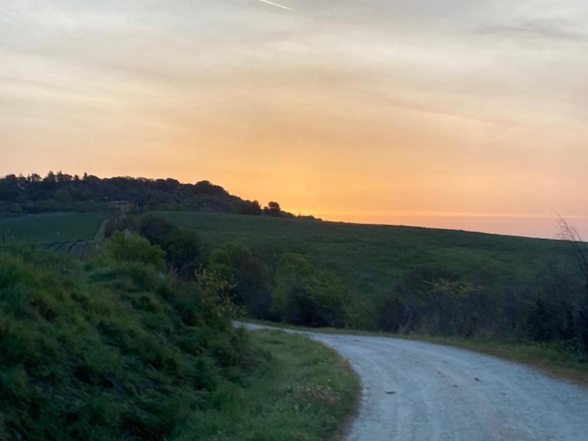 Bio Agriturismo Il Torrione 사투르니아 외부 사진