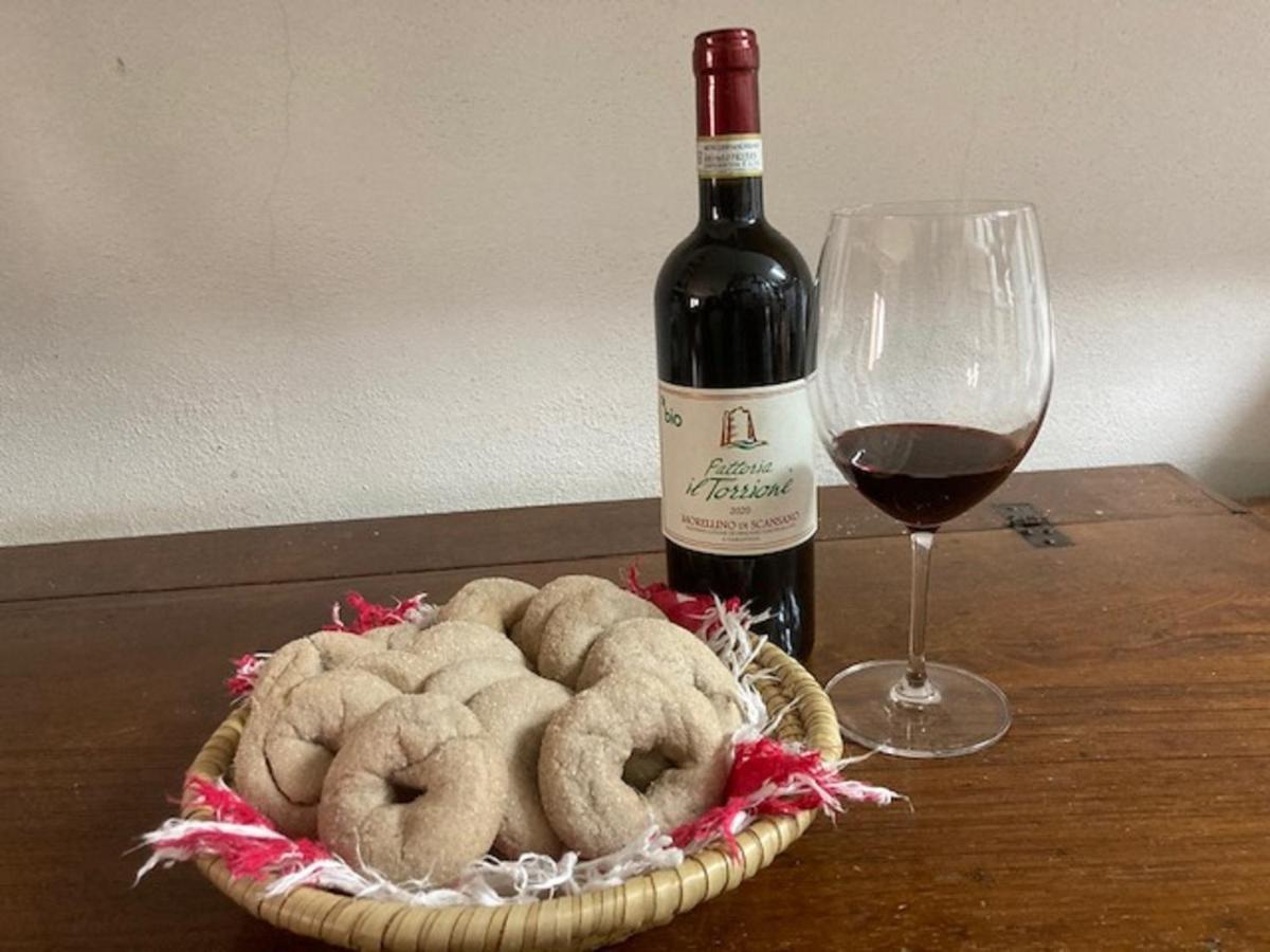 Bio Agriturismo Il Torrione 사투르니아 외부 사진