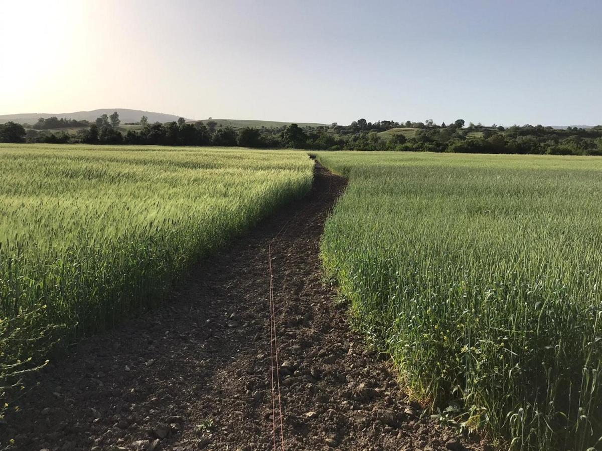 사투르니아 Bio Agriturismo Il Torrione 빌라 외부 사진