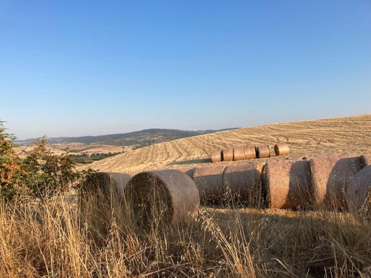 Bio Agriturismo Il Torrione 사투르니아 외부 사진