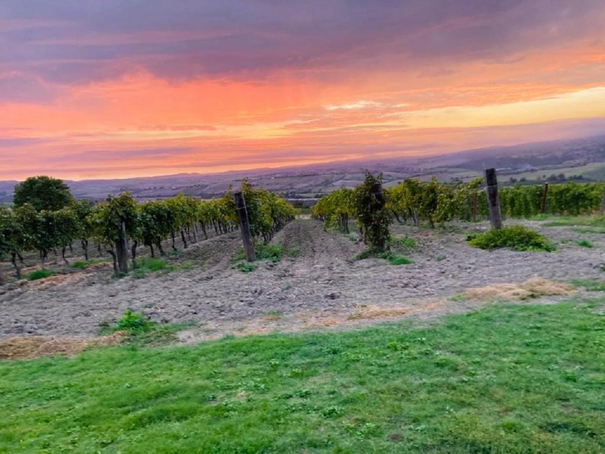 Bio Agriturismo Il Torrione 사투르니아 외부 사진