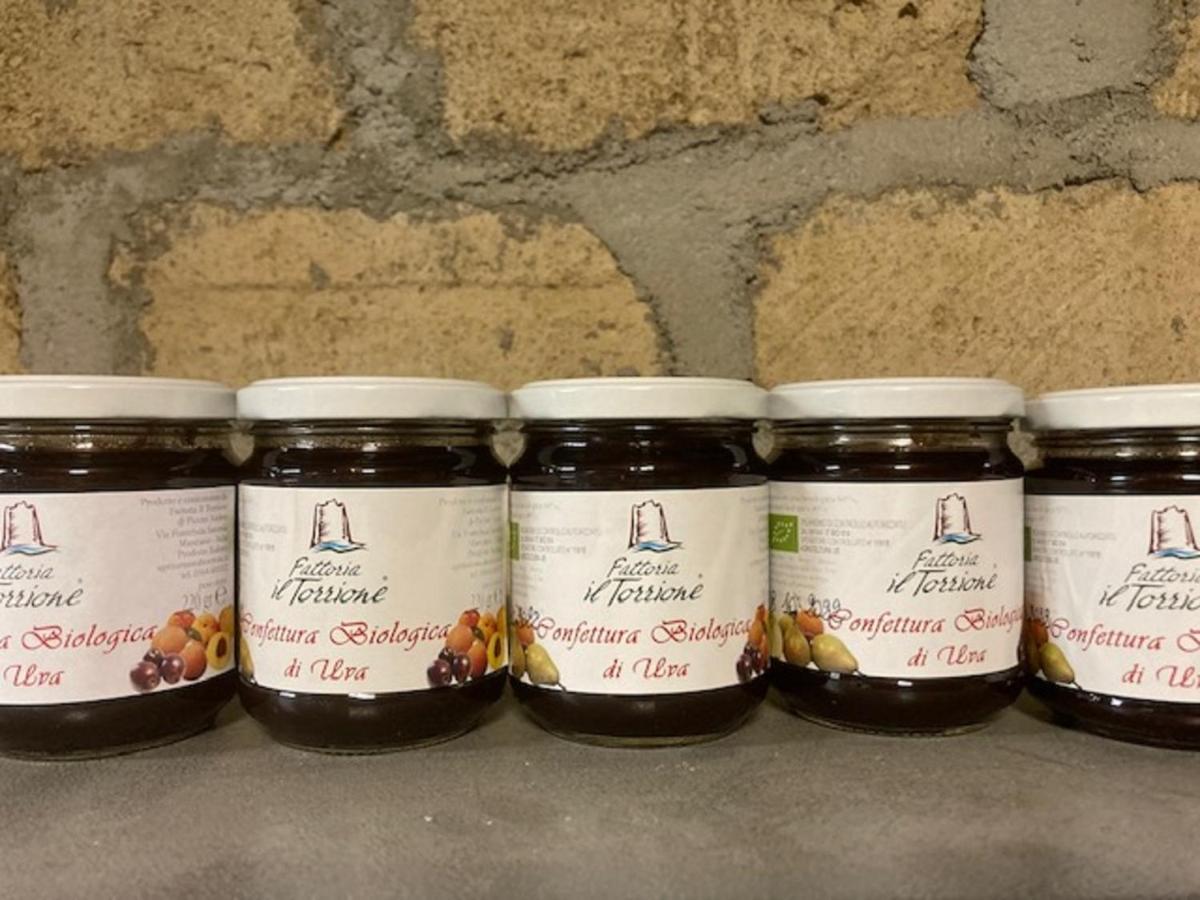 Bio Agriturismo Il Torrione 사투르니아 외부 사진