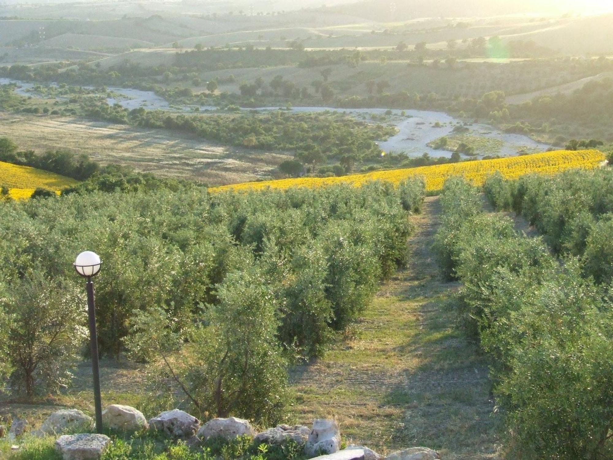 Bio Agriturismo Il Torrione 사투르니아 외부 사진