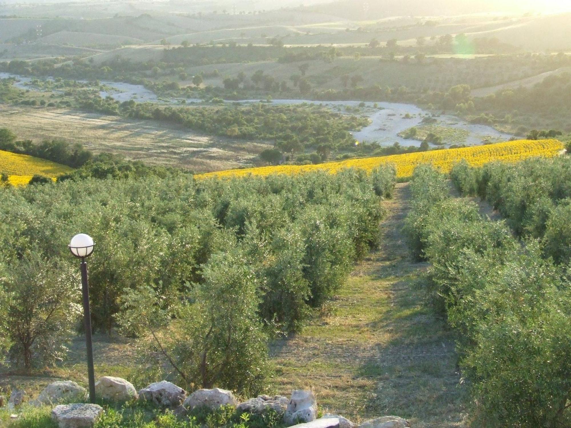 사투르니아 Bio Agriturismo Il Torrione 빌라 외부 사진