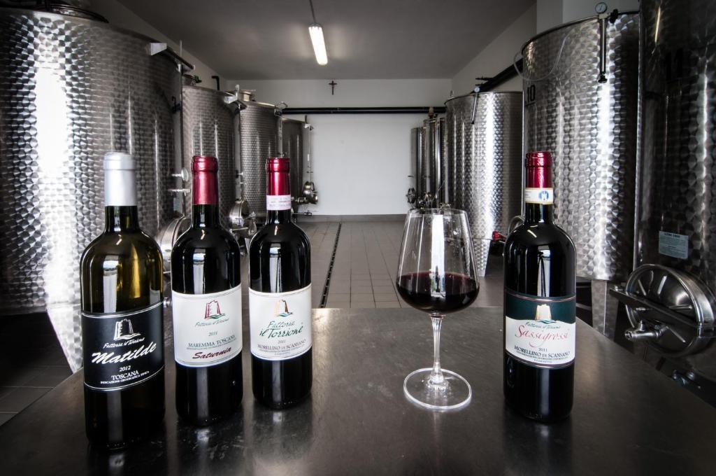 Bio Agriturismo Il Torrione 사투르니아 외부 사진